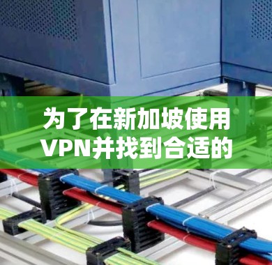 为了在新加坡使用VPN并找到合适的客户端，您可以按照以下步骤操作