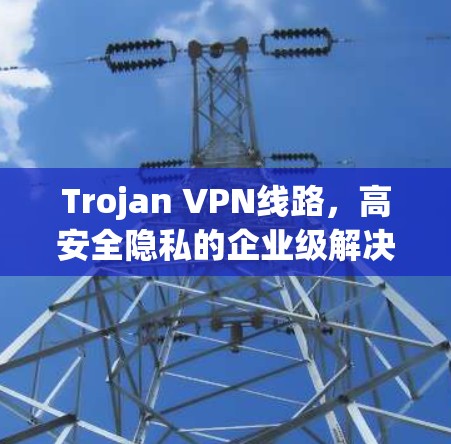 Trojan VPN线路，高安全隐私的企业级解决方案
