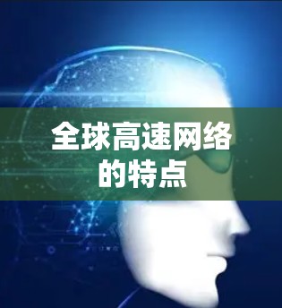全球高速网络的特点