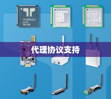 代理协议支持