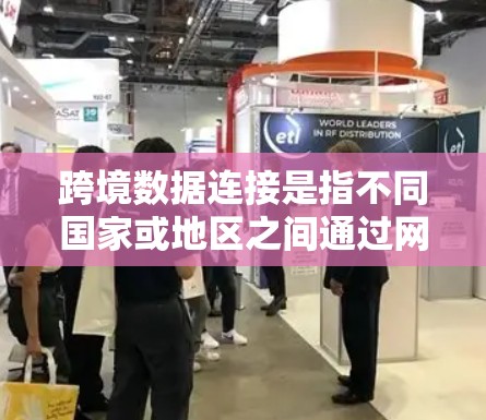 跨境数据连接是指不同国家或地区之间通过网络进行数据的交换、传输和整合，用于支持跨国业务运作、市场分析、风险管理等多种需求。以下是对跨境数据连接的详细分析