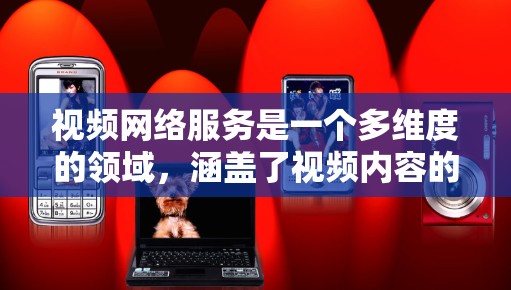 视频网络服务是一个多维度的领域，涵盖了视频内容的传输、管理、优化和用户体验等多个方面。以下是对视频网络服务的详细分析