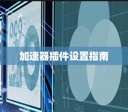 加速器插件设置指南 加速器插件设置指南