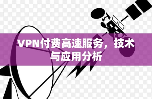 VPN付费高速服务，技术与应用分析