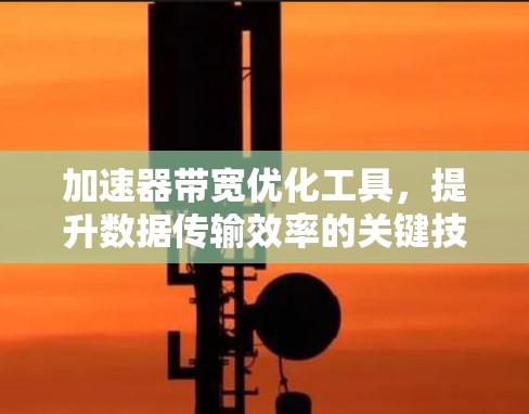 加速器带宽优化工具，提升数据传输效率的关键技术