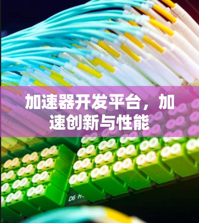 加速器开发平台，加速创新与性能