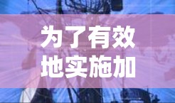为了有效地实施加速器网络安全服务，以下是一步步的实施指南