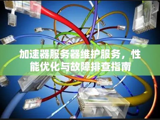 加速器服务器维护服务，性能优化与故障排查指南