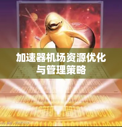 加速器机场资源优化与管理策略