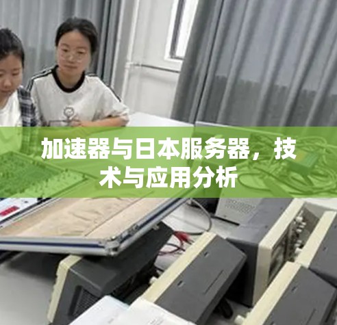 加速器与日本服务器，技术与应用分析