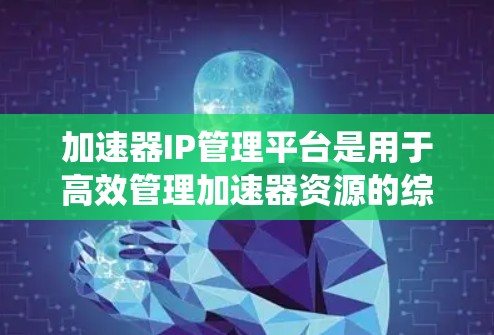 加速器IP管理平台是用于高效管理加速器资源的综合解决方案，涵盖了从功能设计到技术实现的各个方面，确保了系统的安全性、可靠性和易用性。以下是对该平台的详细分析和总结